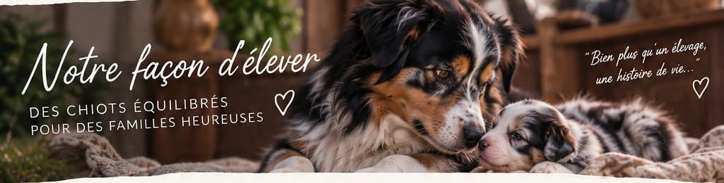 Notre façon d’élever : des chiots équilibrés pour des familles heureuses