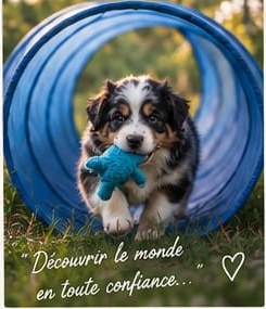 Notre façon d’élever